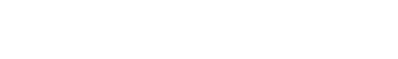 DIIO TESLA（ディオ テスラ）