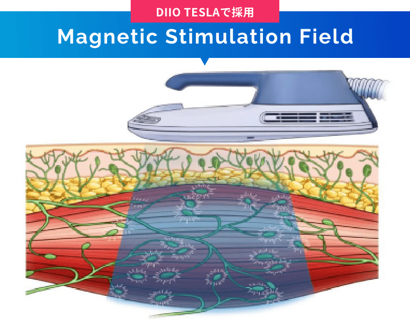 magnetic stimulation field