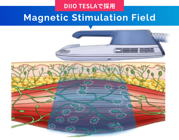 magnetic stimulation field